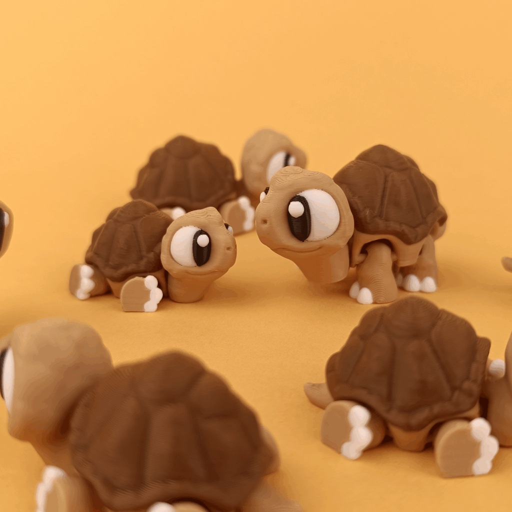 Schildkröte Morla